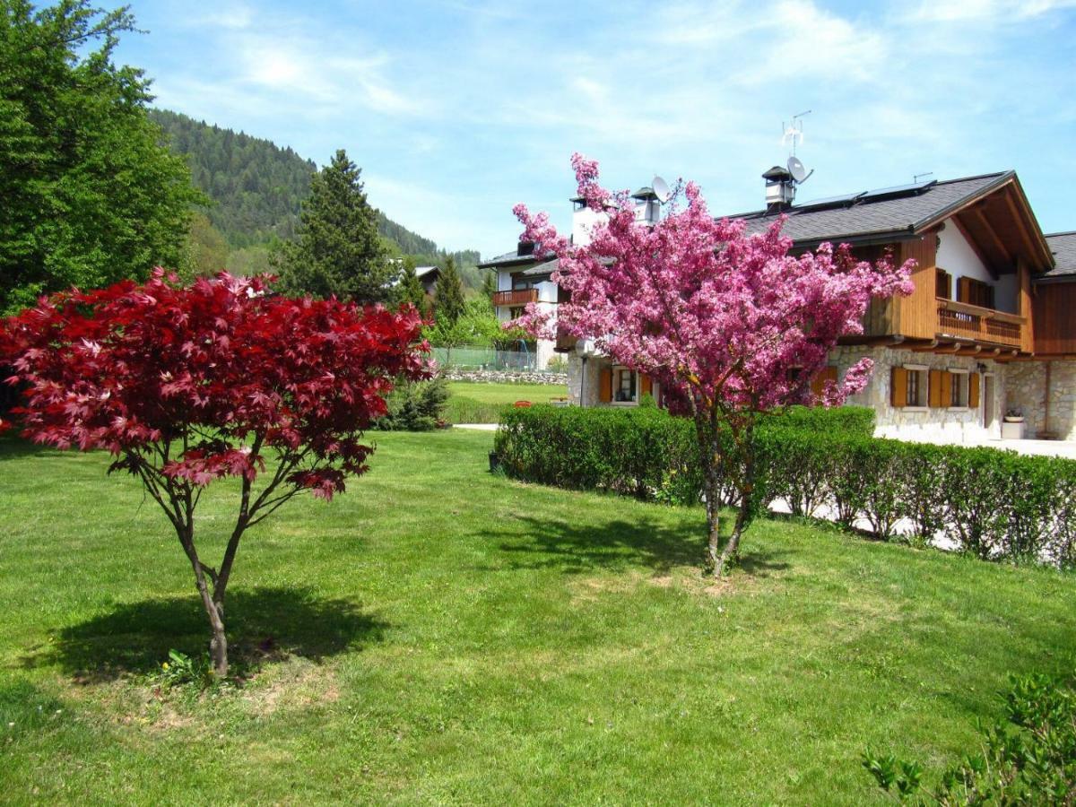 Ca'Milla B&B Nelle Dolomiti Pieve di Cadore Zewnętrze zdjęcie