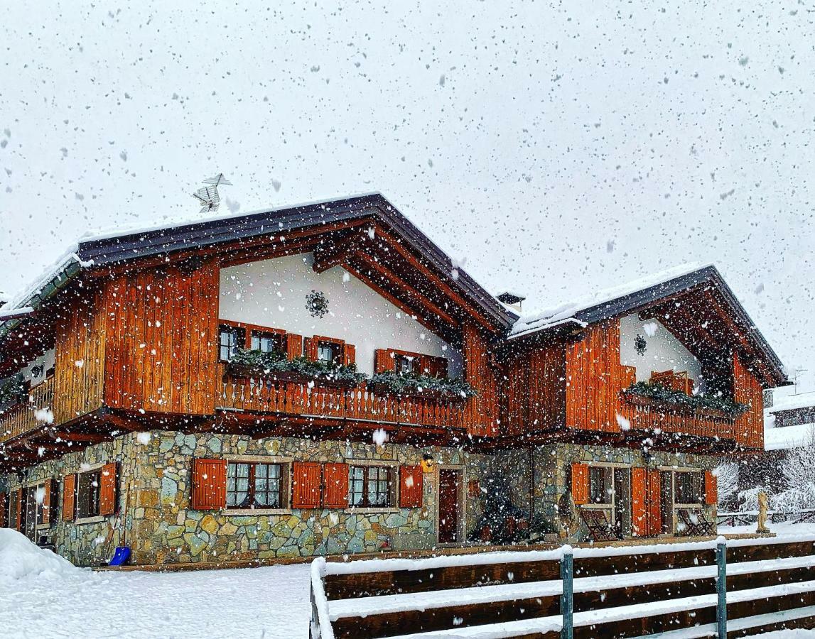 Ca'Milla B&B Nelle Dolomiti Pieve di Cadore Zewnętrze zdjęcie